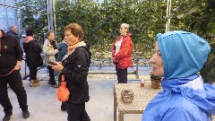 Elizabeth Lemersal; Karen Drucker; Judith Christman; Greenhouse; Reykholt; Iceland, IS